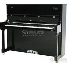 高性?xún)r(jià)比樂(lè)器價(jià)格解析 16610元與16840元商品對(duì)比及選購(gòu)指南